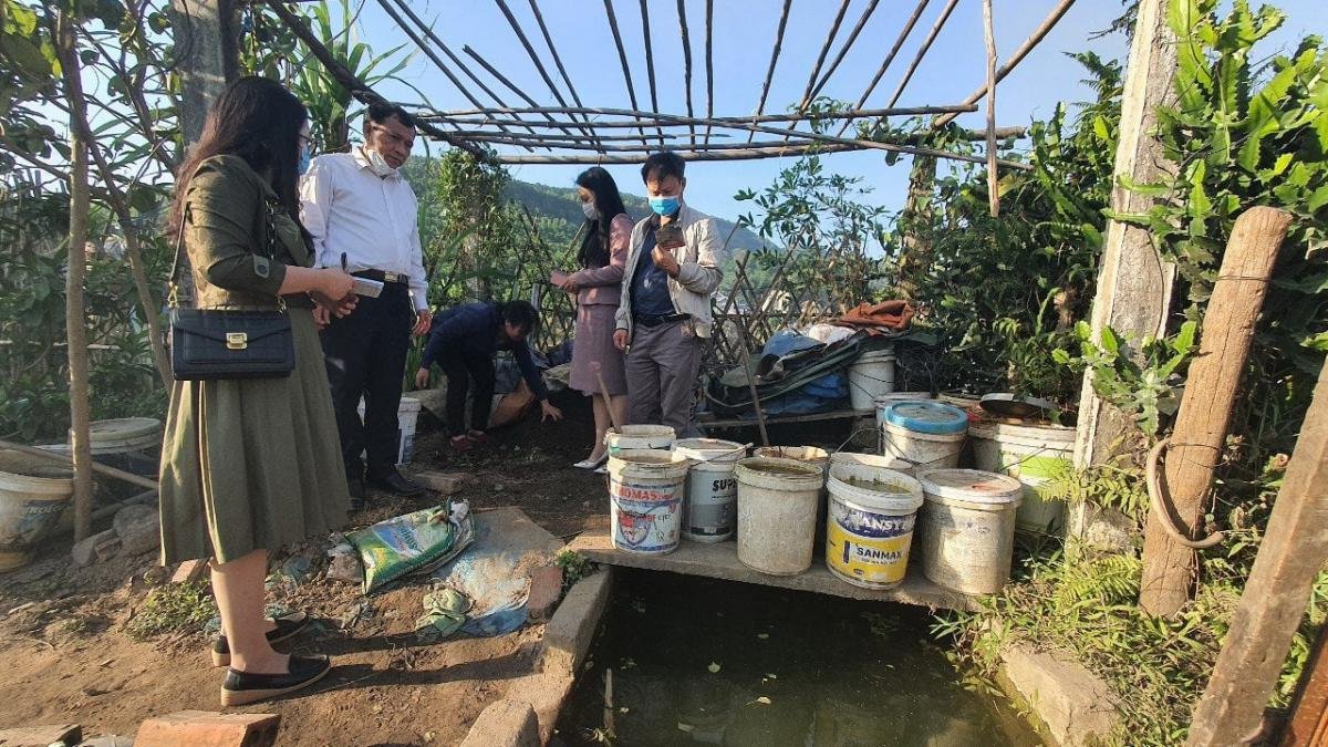 Dự án đổi rác hữu cơ